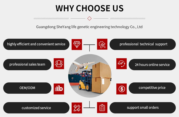 Men’s Energy + Focus & Sleep Support Drops – Ashwagandha Liquid Drops for Stress, Mood, and Daily Energy